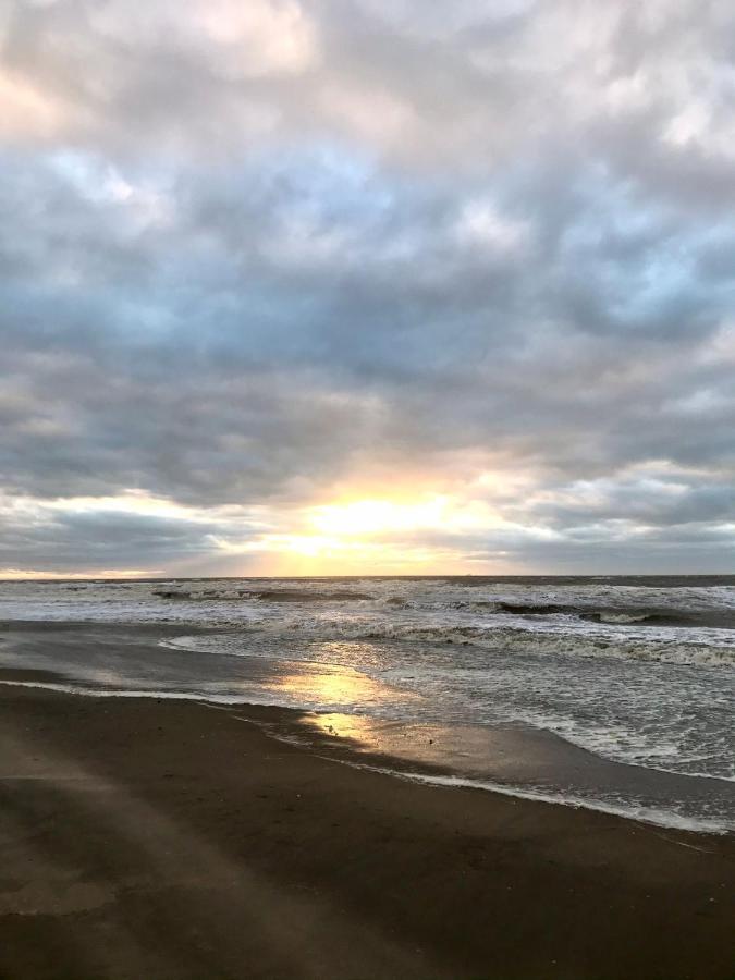 Hippocampus Aan Zee Katwijk aan Zee Exterior photo